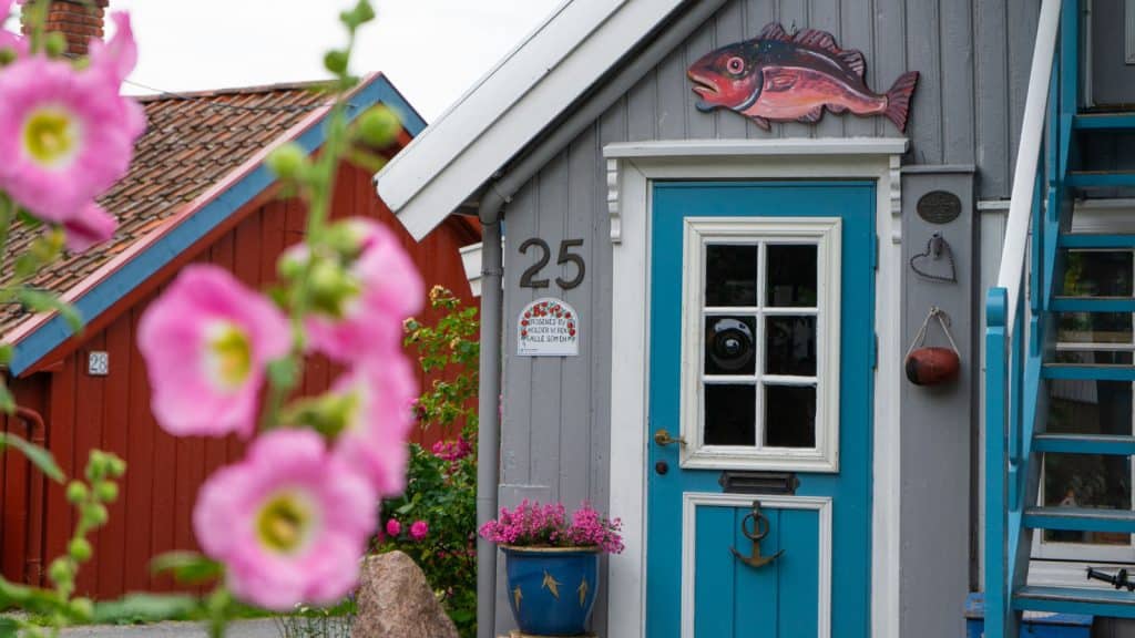 Rosa blomster og trehus