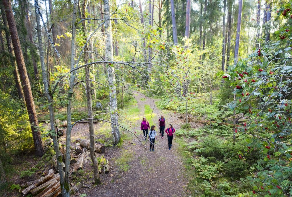 4 damer som går tur i en skog