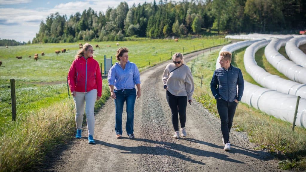 Fire mennesker går på en vei i åpent landskap med kuer i bakgrunnen