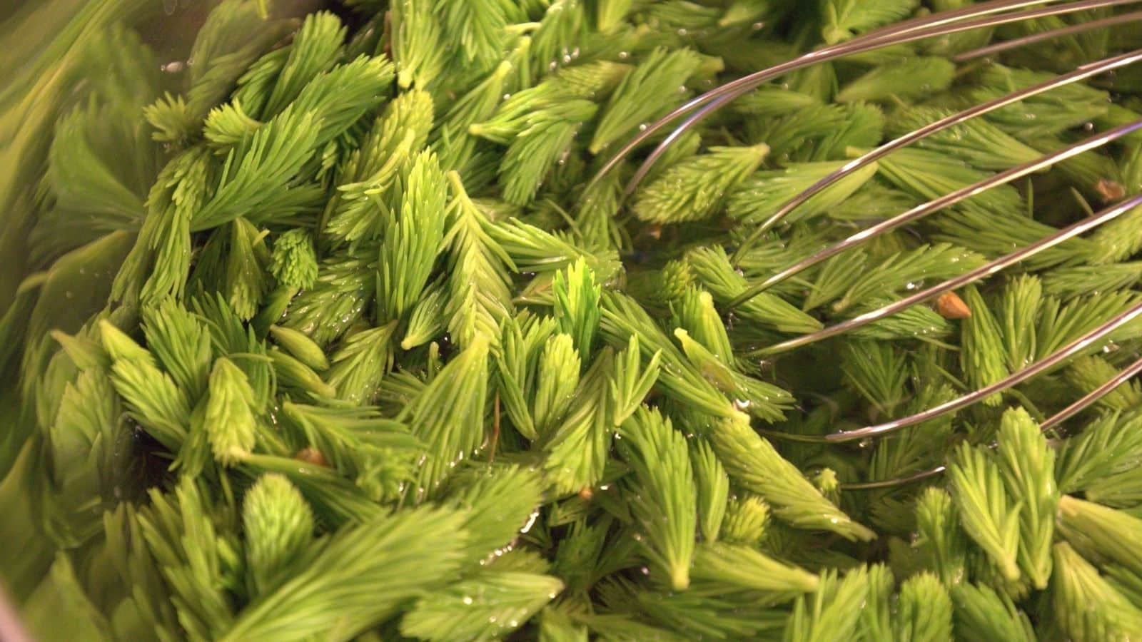 Oppskrifter til turmat