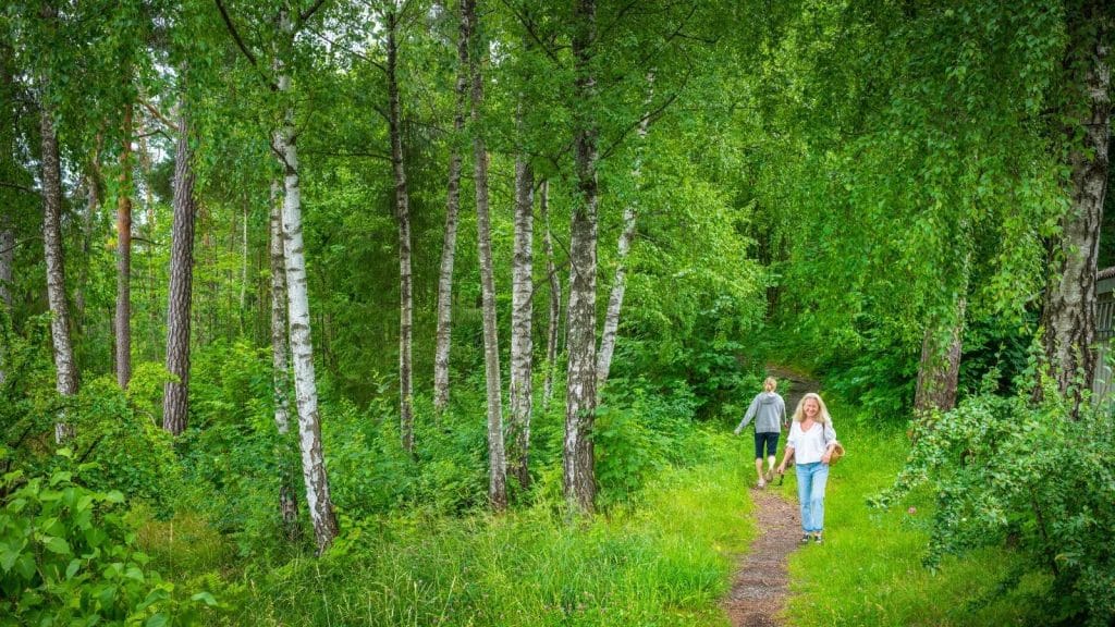To jenter går på en sti i frodige omgivelser