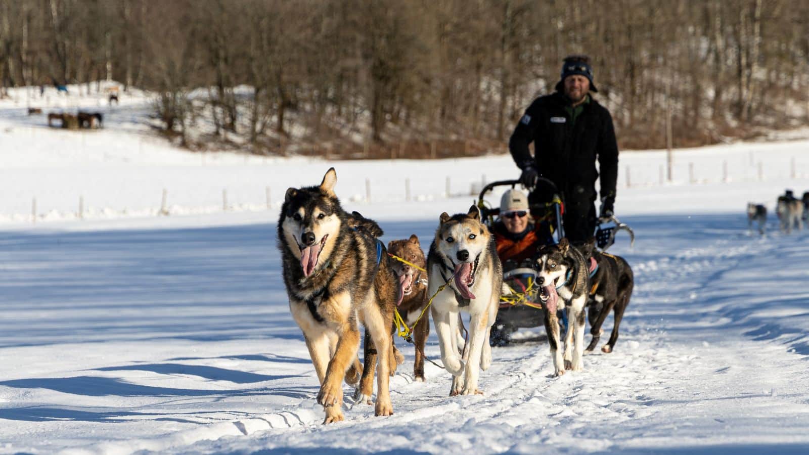 Vinter i Asker og Bærum