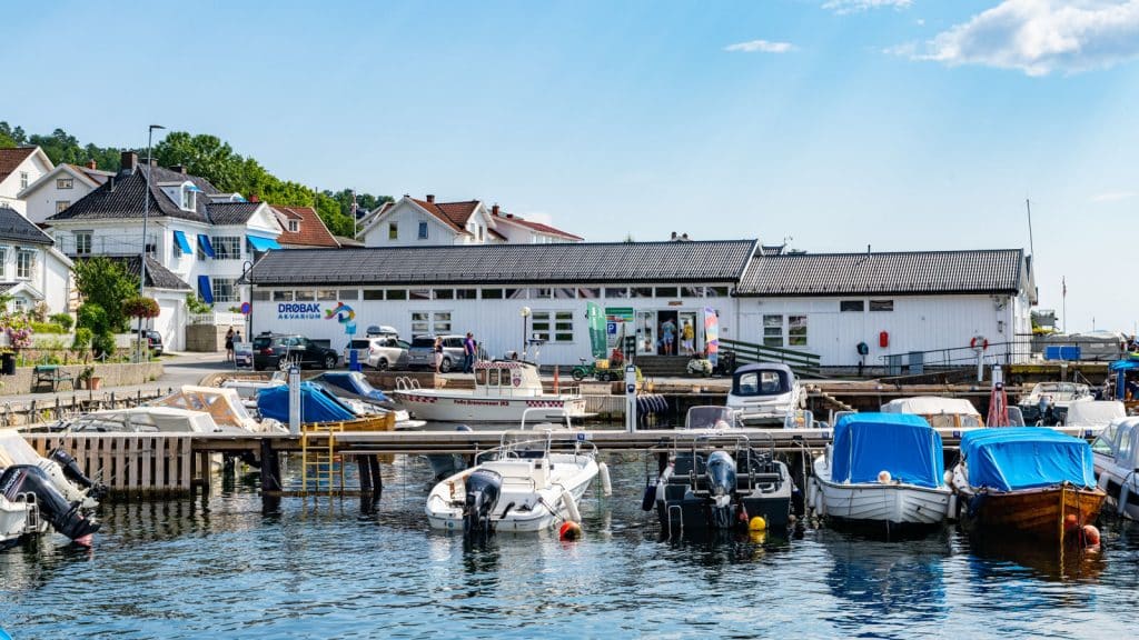 Bilde av en hvit trehusbygning i båthavn en sommerdag med blå himmel
