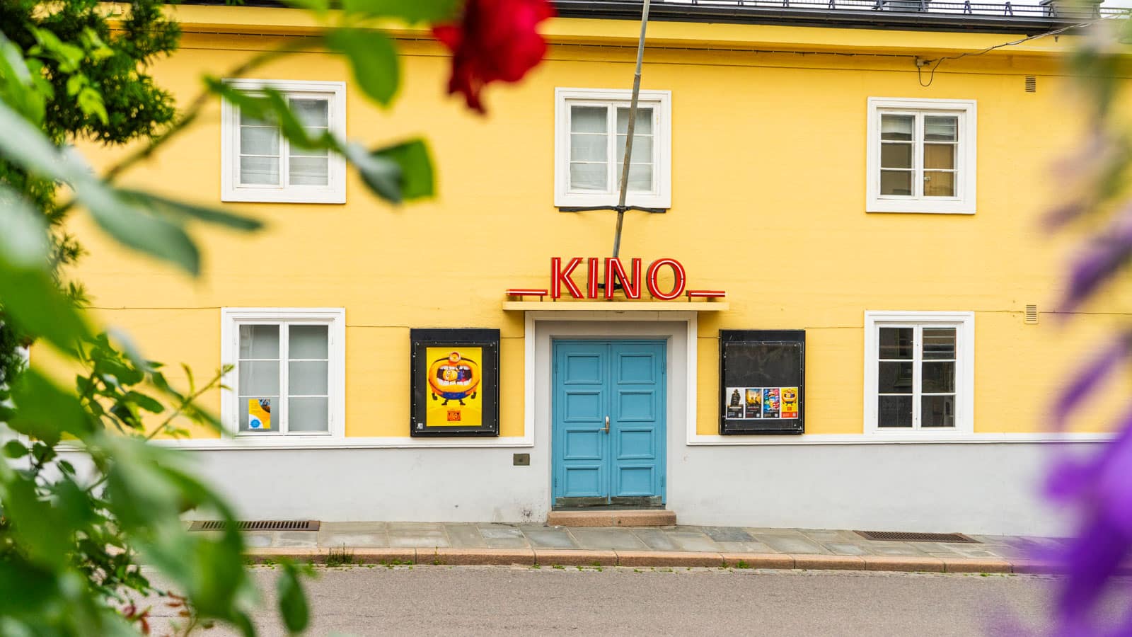 En gul kino med blomster i forgrund