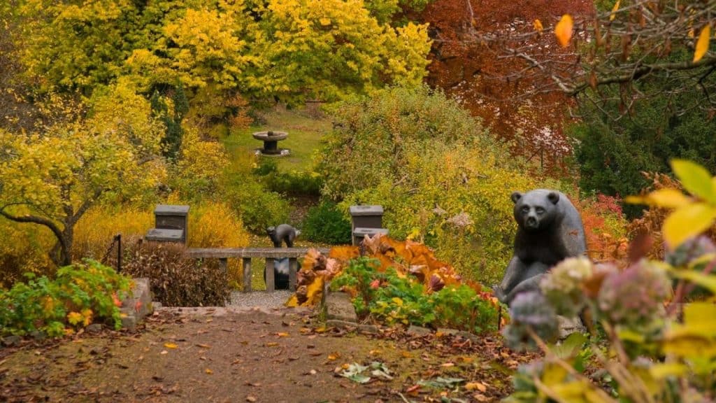 Høst i hagen på Asker museum. Skulptur av en bjørn og en katt