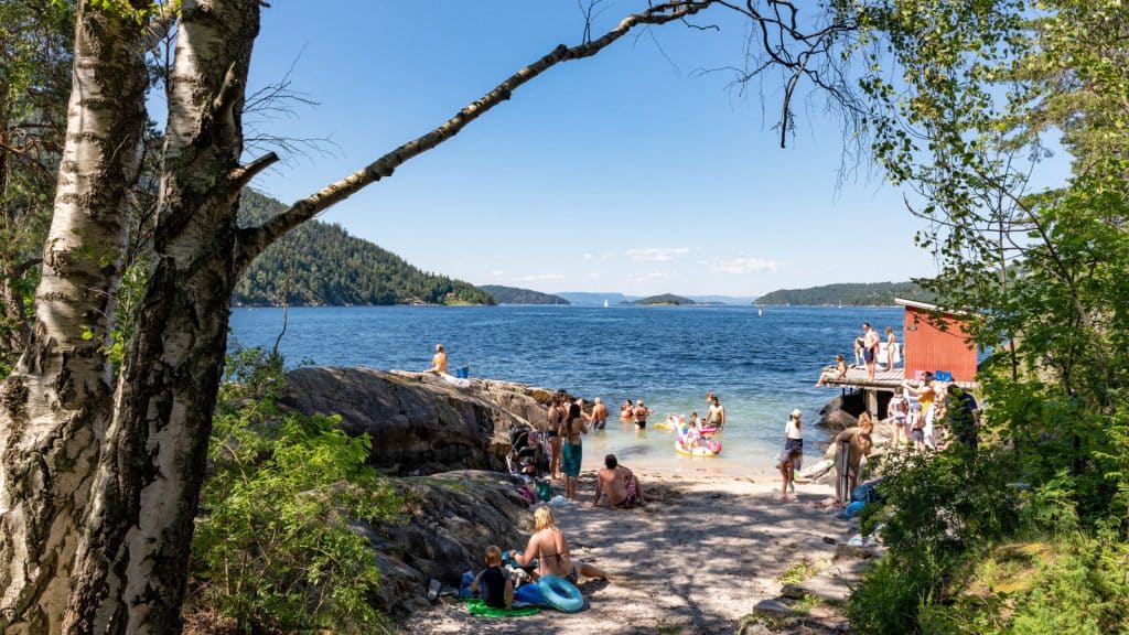 Bathing area with people on a summer day