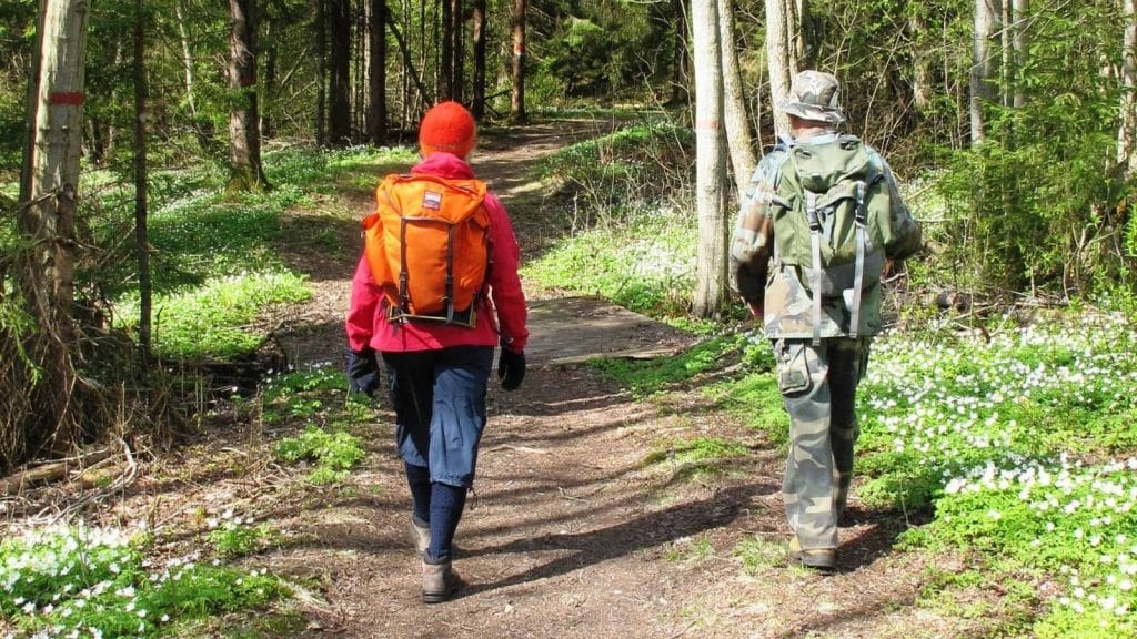 To personer går emd ryggen til i en skog