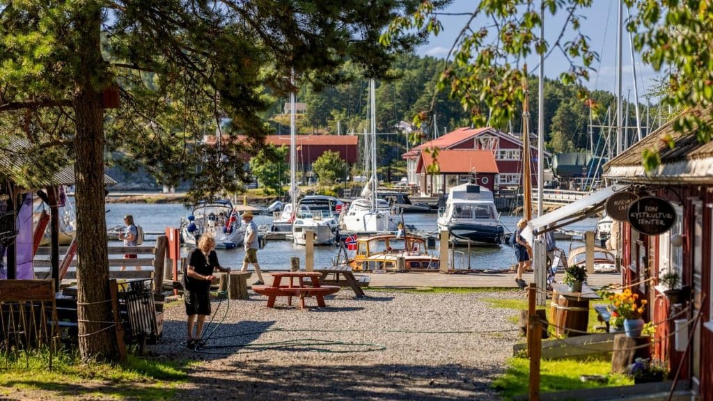Son Sommer langs bryggekanten båter i havna