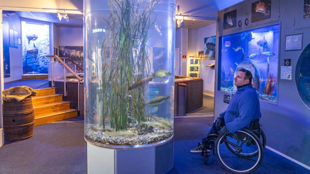 Mann i rullestol som ser på fisk på Drøbak akvarium