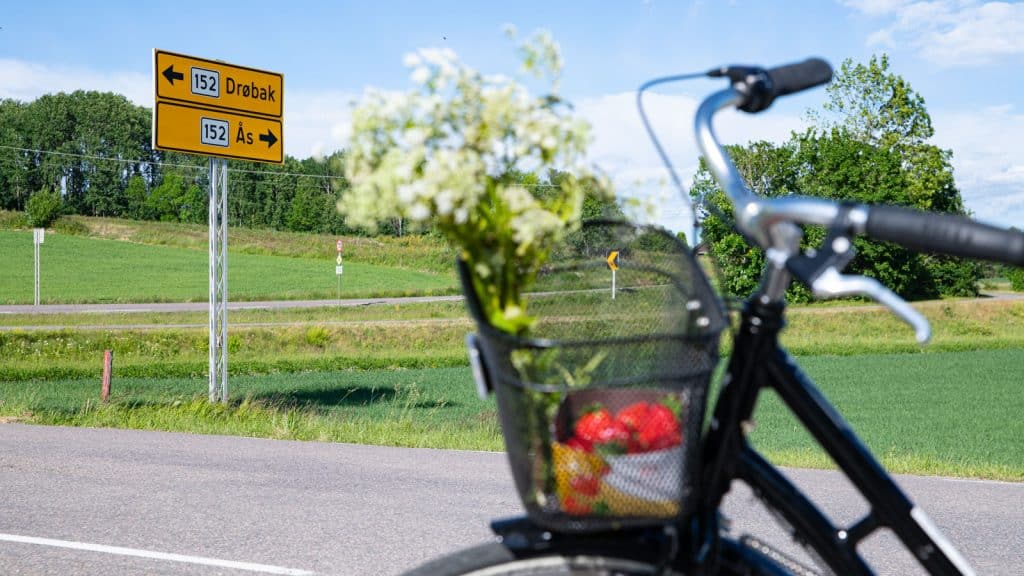 Sykkelkurv med jordbær ved veiskilt til Drøbak og Ås