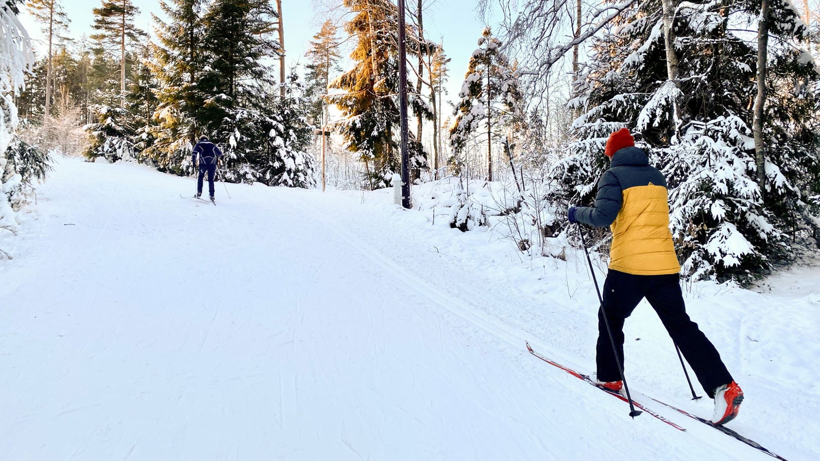 Mann som står på langrenn