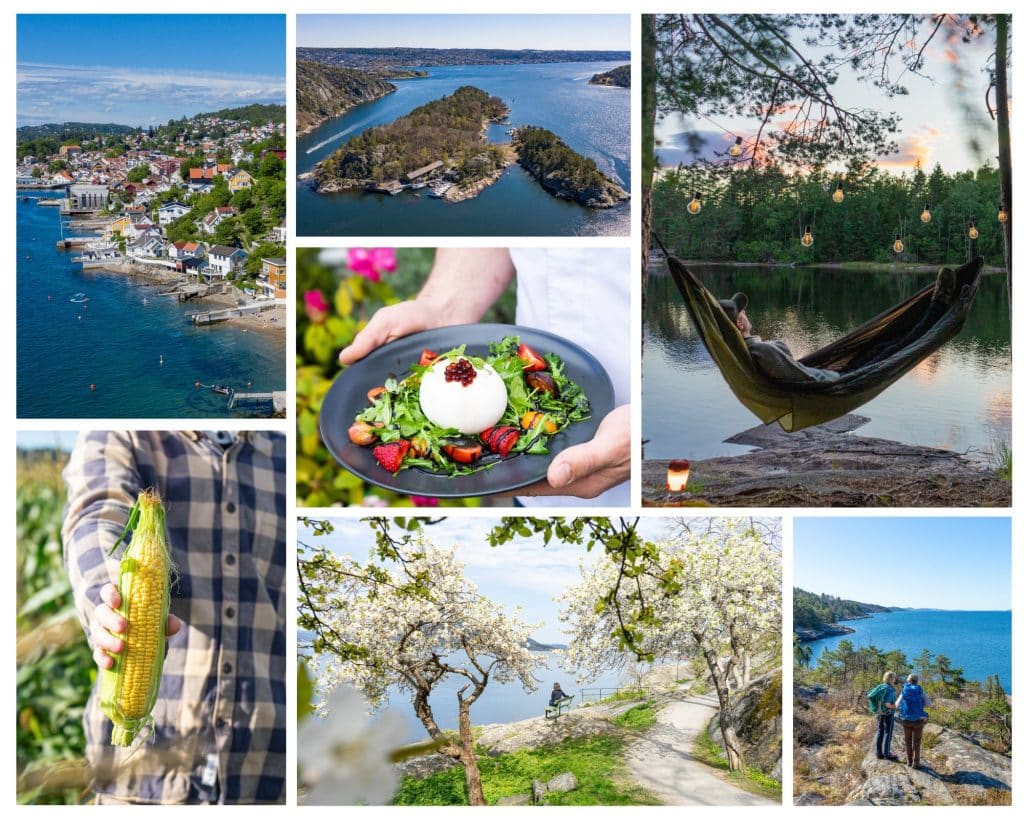 Bildecollage med bilder av mat, hengekøye, mais, blomster og øyer