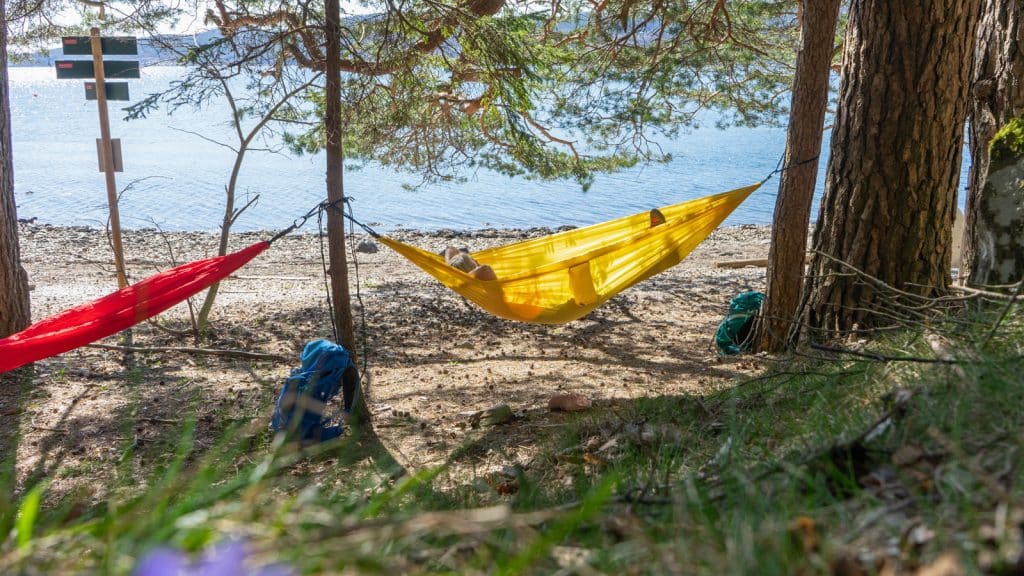 To hengekøyer på en strand
